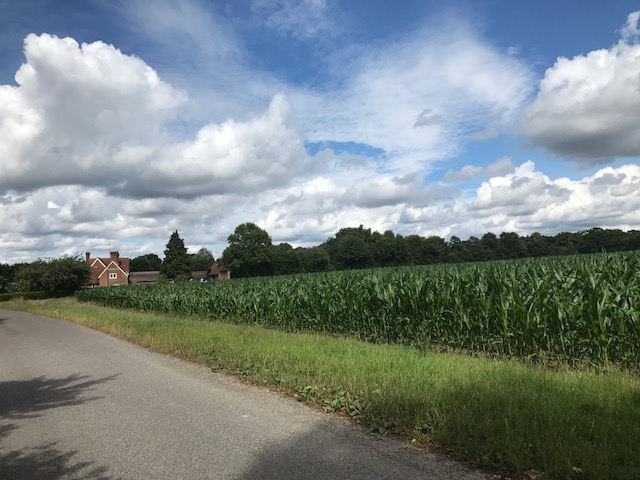 Farm.jpg